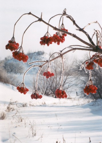 donbass1